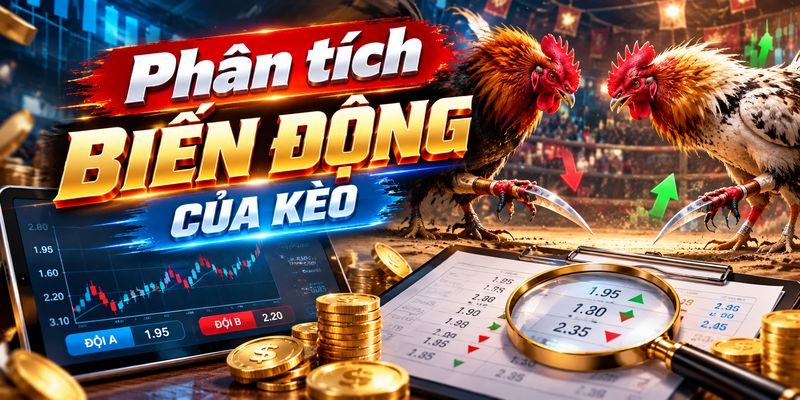 Phân tích biến động kèo đá gà cựa dao giúp người chơi có thêm dữ liệu tham khảo trước trận.